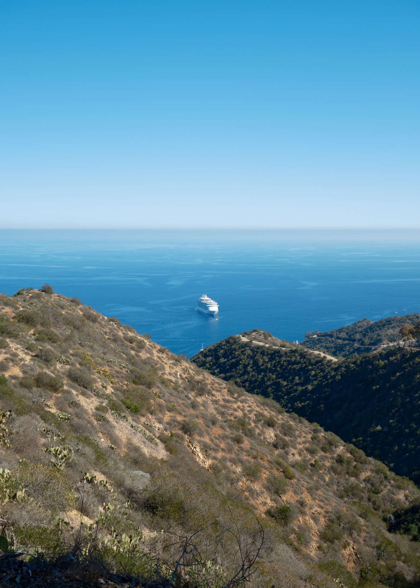 Cruise holidays — illustrative service or destination photograph